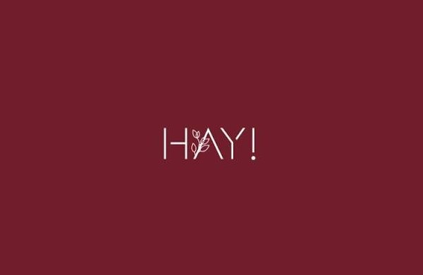 Hay Clothing logo